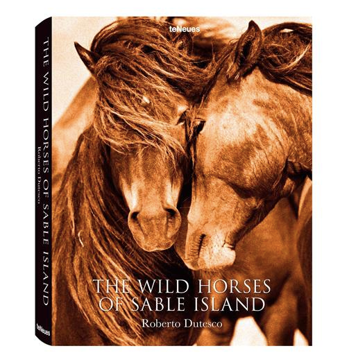 Wild Horses of Sable Island
