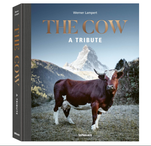 The Cow: A Tribute