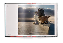 Load image into Gallery viewer, Amaze
